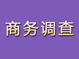 琼海商务调查